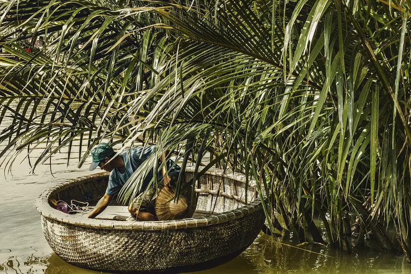 A fisherman in a round bamboo basket boat among water-coconut palms near Hội An